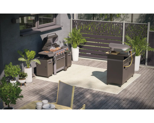 Vonkajší priestor s grilom, pecou na pizzu, rastlinami a zástenou