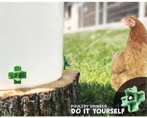 Napájadlo pre hydinu s napájacou bradavkou pripevnenou k vedru, v pozadí sliepka