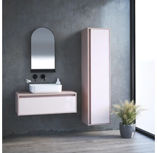 Moderná kúpeľňa s umývadlom, zrkadlom, vysokou skriňou a rastlinou