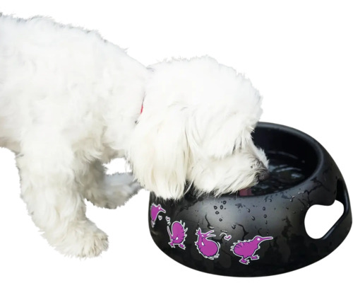 Pes pije z čiernej misky na vodu s motívom vtáka