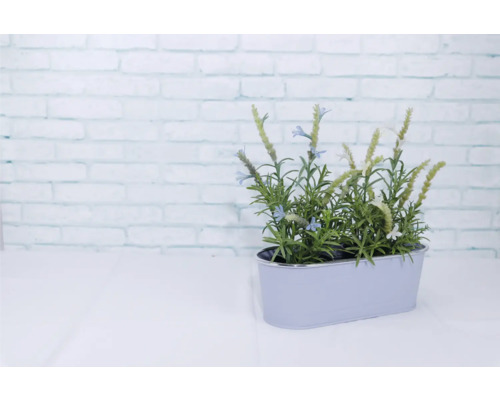 Dekoratívna umelá rastlina levanduľa v striebornom kvetináči.