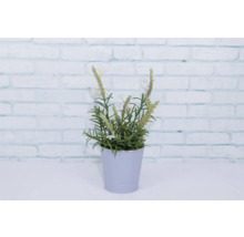 Umelá levanduľa v kvetináči