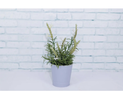Umelá levanduľa v kvetináči