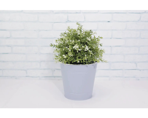 Umelá rastlina v kvetináči