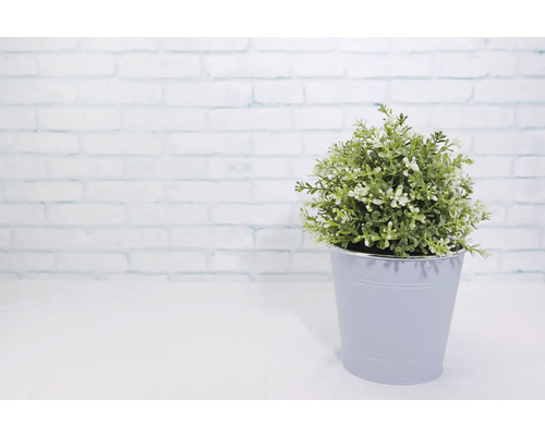 Umelá rastlina v kvetináči