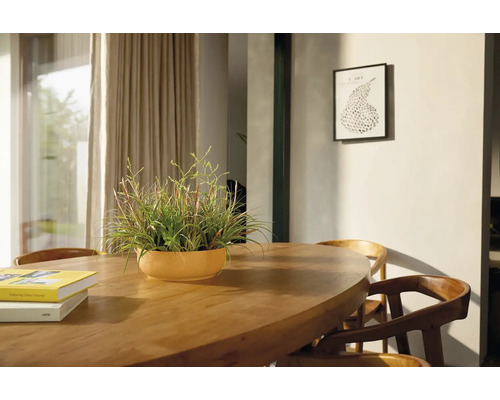 Jedálenská scéna s dreveným stolom, stoličkami a hrnkovou rastlinou