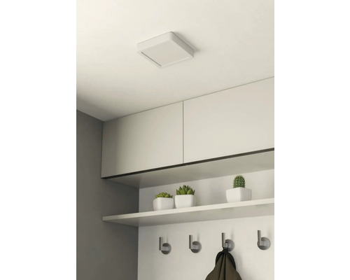 Stropné svietidlo v chodbe so šatňou, úložnou policou, háčikmi a okrasnými rastlinami.