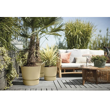 Terasa s rastlinami v kvetináčoch a salónikovým nábytkom