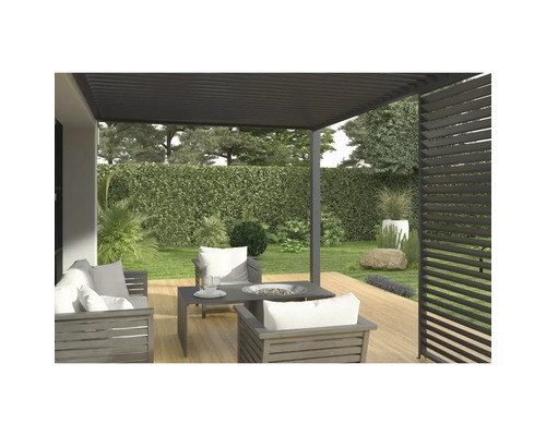 Terasa s pergolou, záhradným nábytkom a rastlinami