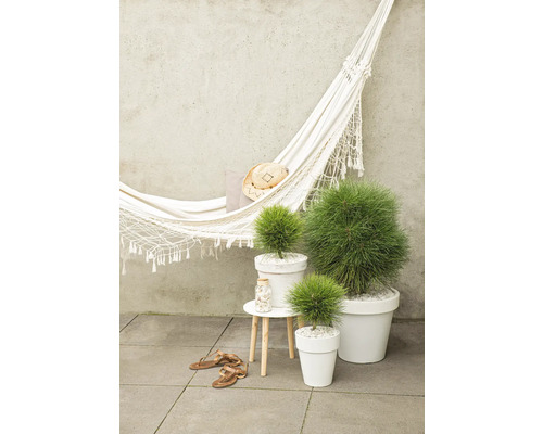 Hojdacia sieť s vankúšom a klobúkom, tri hrnkové rastliny, malý stolík s dekoráciou a pár sandálov na dlažbe