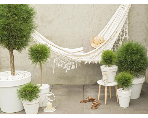 Scéna s hojdacou sieťou, dekoráciou a rôznymi rastlinami v kvetináčoch