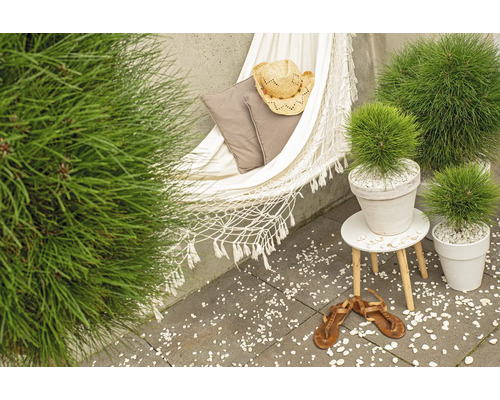 Záhradné prostredie s hojdacou sieťou, vankúšom, klobúkom, rastlinami v kvetináči, odkladacím stolíkom a sandálmi