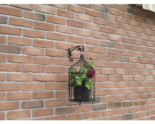 Dekoratívna stena s kvetináčom v klietke pre vtáky na držiaku