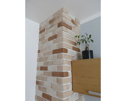 Obkladové murivo s policou a izbovou rastlinou