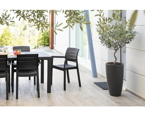 Terasa so záhradným stolom, stoličkami a olivovníkom v kvetináči