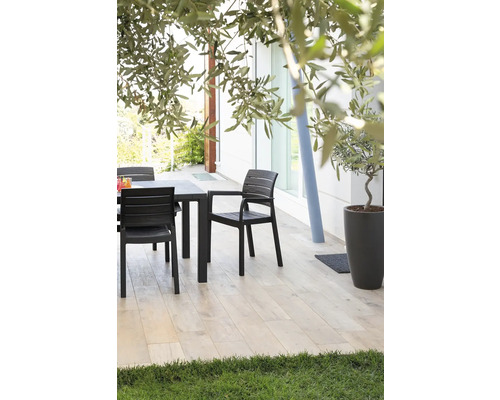 Plastová jedálenská súprava vonku s olivovníkom