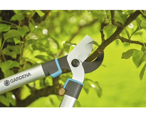 Záhradné nožnice strihajú konár