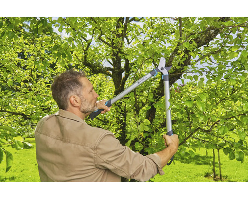 Muž používa záhradné nožnice na konáre, aby orezal konáre v záhrade.