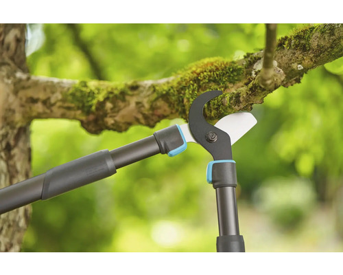 Nožnice na konáre pri práci na konári stromu