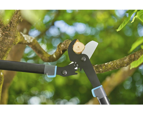 Nožnice na konáre strihajú konár na strome.