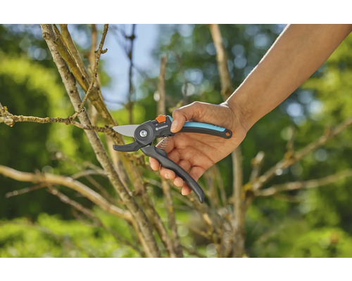 Záhradné nožnice pri strihaní vetvy