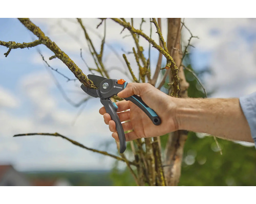 Osoba strihá konár záhradnými nožnicami.