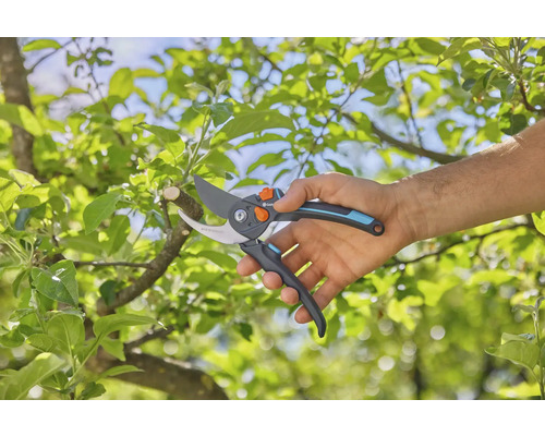 Záhradné nožnice v akcii na strome