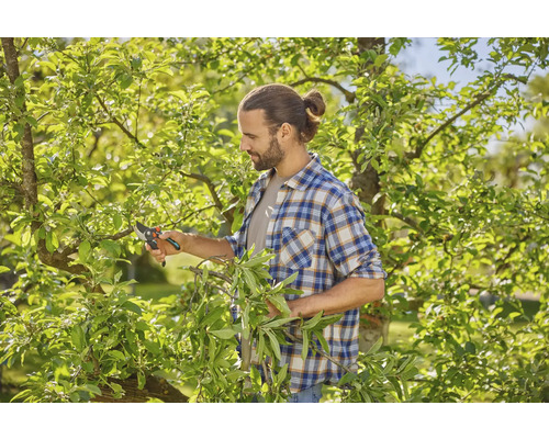 Muž strihá strom záhradníckymi nožnicami