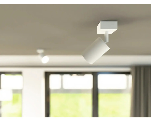 Stropné svietidlo s nastaviteľným bodovým svetlom v interiéri