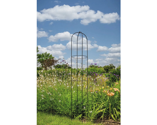 Kovová podpera pre rastliny v záhrade s kvetmi a modrou oblohou