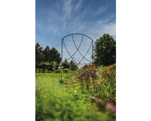 Kovová ružová brána v záhrade s rastlinami