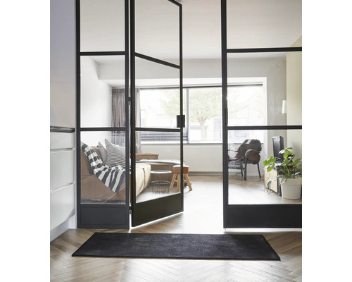 Pohľad na izbu s oceľovými dverami so sklenenou vložkou, pohovkou, kreslom, rastlinou a kobercom