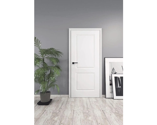 Drevené interiérové dvere, s čiernou kľučkou, izbovou rastlinou a zarámovanými obrázkami