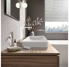 Kúpeľňová skrinka s umývadlom na dosku a batériou