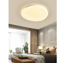 LED stropné svietidlo Bohemia-Design 24 W 1080 lm 3000-4000-6000 K biele