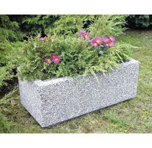 Obdĺžnikový betónový kvetináč s výsadbou
