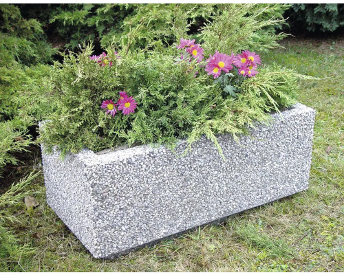 Obdĺžnikový betónový kvetináč s výsadbou