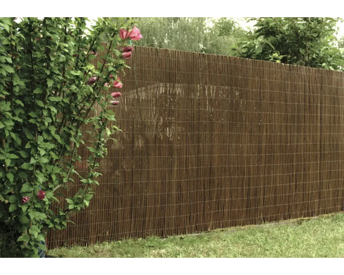 Bambusový plot na záhrade