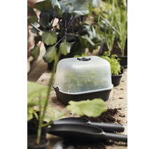 Množiteľský box s rastlinami na záhradnom stole