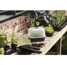 Kvetináče na sadenice a parenisko s rastlinami na stole pre záhradníctvo