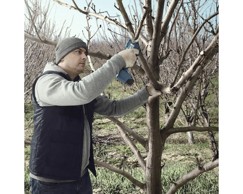 Muž prerezáva strom elektrickými záhradnými nožnicami.