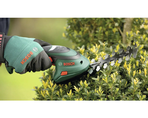 Akumulátorové nožnice používané pri strihaní živého plota. Logo Bosch na zariadení a rukavici.