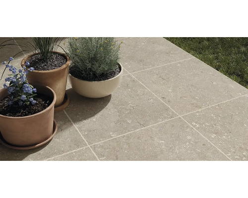 Terasa so svetlosivými dlaždicami a rastlinami v hlinených kvetináčoch.