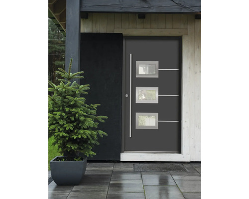 Moderné vchodové dvere so sklenenými vložkami a rastlina v kvetináči pred vchodom do domu.