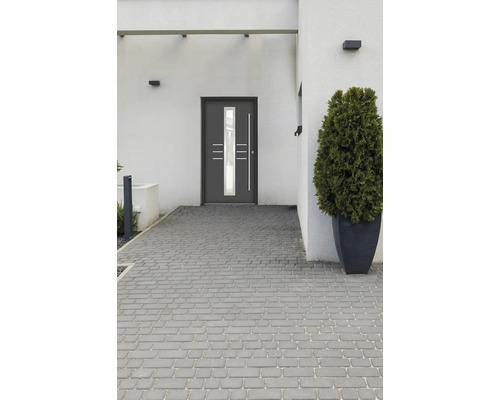 Moderný dom s vchodovými dverami, dlažobnými kockami a rastlinou v kvetináči
