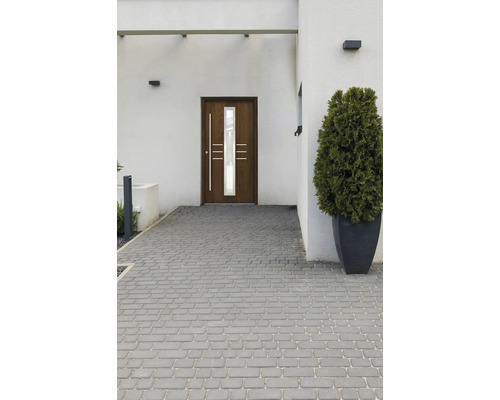 Vchod s vchodovými dverami, dlažobnými kockami a kríkom