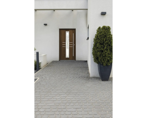 Vstupný priestor s vchodovými dverami, dlažobnými kockami a rastlinou v kvetináči