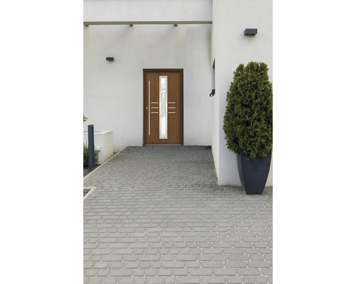 Vstupný priestor domu s dlažobnými kockami a vchodovými dverami so sklenenou vložkou