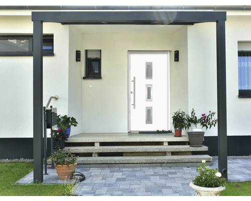 Vstupný priestor domu s vchodovými dverami, schodmi a kvetináčmi