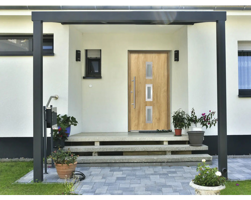 Vstupný priestor domu s vchodovými dverami, schodiskom a rastlinami